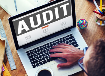 WEBSITES AUDIT